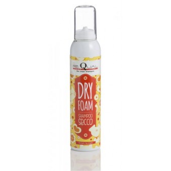 G131 ReQual Home Dry Foam No Rinse Shampoo 250 ml